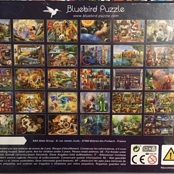 BRAND NEW! BLUEBIRD puzzle 1000 pieces - The Music Room - Picture 2 of 6